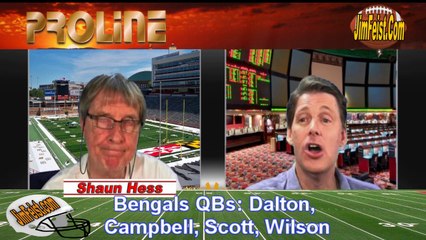 NFL Cincinnati Bengals at Arizona Cardinals Sports Betting Preview, August 24, 2014