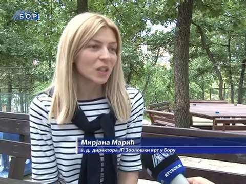 Sve više turista zainteresovano za Zoo vrt u Boru, 21. avgust 2014. (RTV Bor)