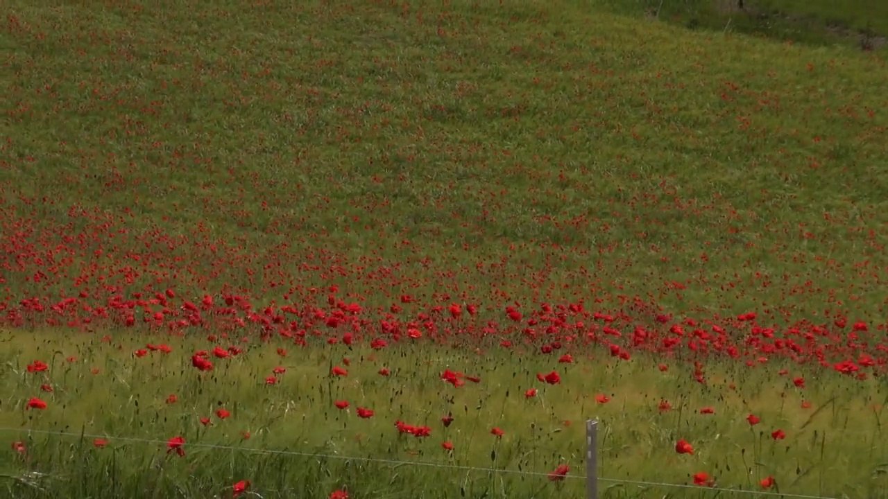 Drome 2014 camping car et vélo