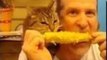 Cat and Owner Eat Corn on the Cob Together