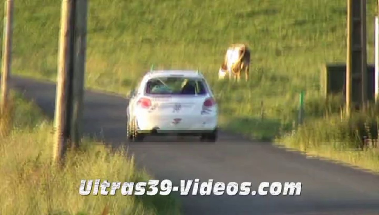 Rallye du Sel : Sébastien Breniaux/Anthony Jacques