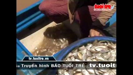 Về vùng đầu nguồn nước nổi miền Tây