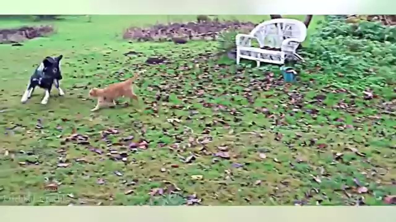 Pranks - Gags - Win - Fail.34