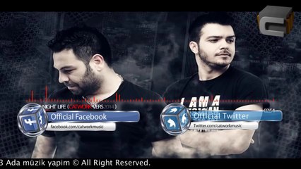 Catwork Remix Engineers Ft.ItaloBrothers - This Is Night Life (2014)