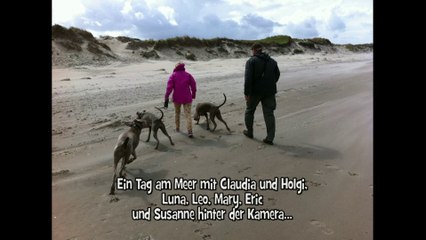 Ein Tag am Meer