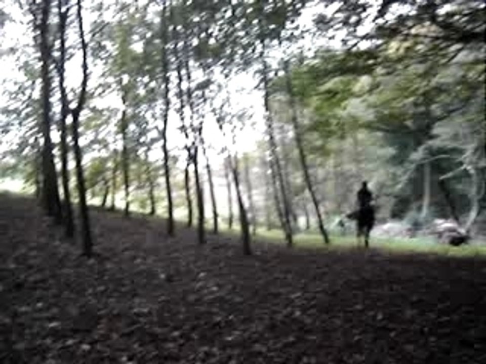 Dobé-Hélène-bois 1