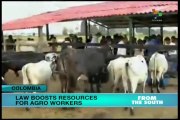 Colombia considering measures to support agricultural workers