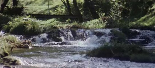 Musuko Yoji Yamada Trailer