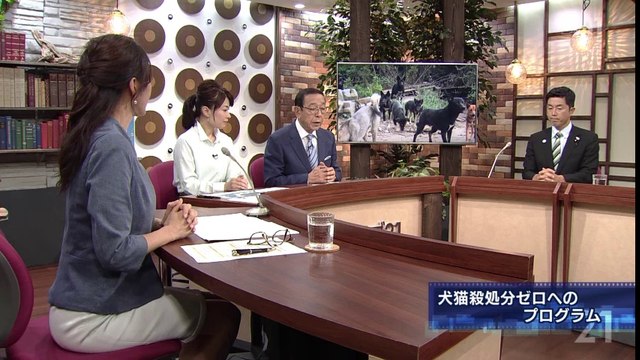 報道ライブ21 INsideOUT「犬猫殺処分ゼロへのプログラム」 140821