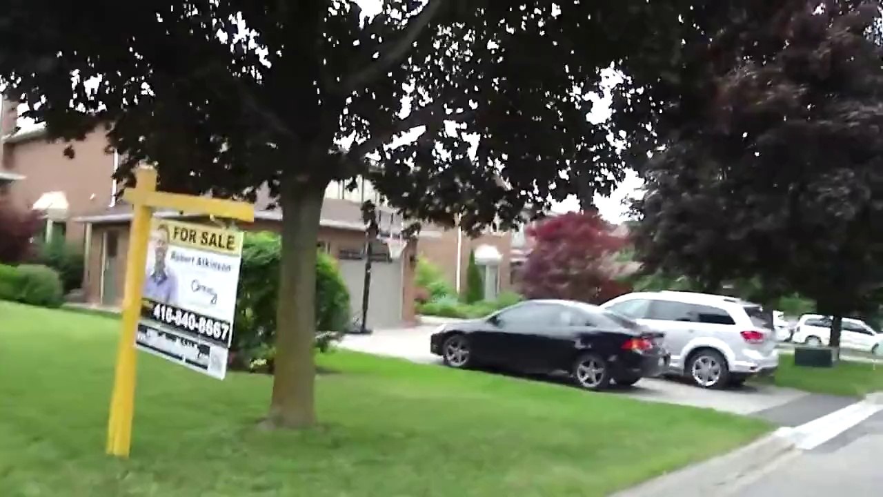Vlog #10