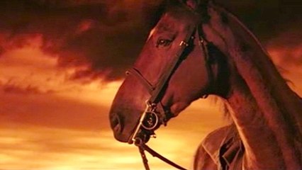 Bande-annonce : Cheval de guerre VOST