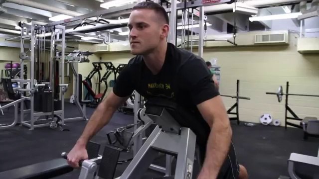 Plate-Loaded Back Machine Rows Exercise _ Exercise & Physical Fitness