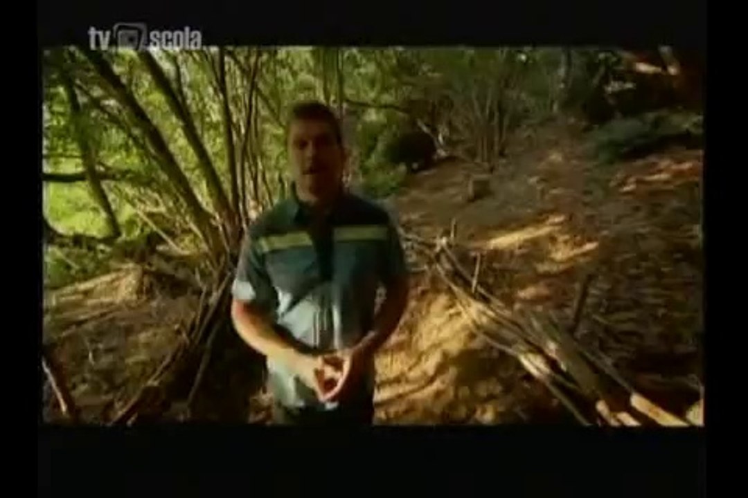 No Jardim de Darwin Trailer