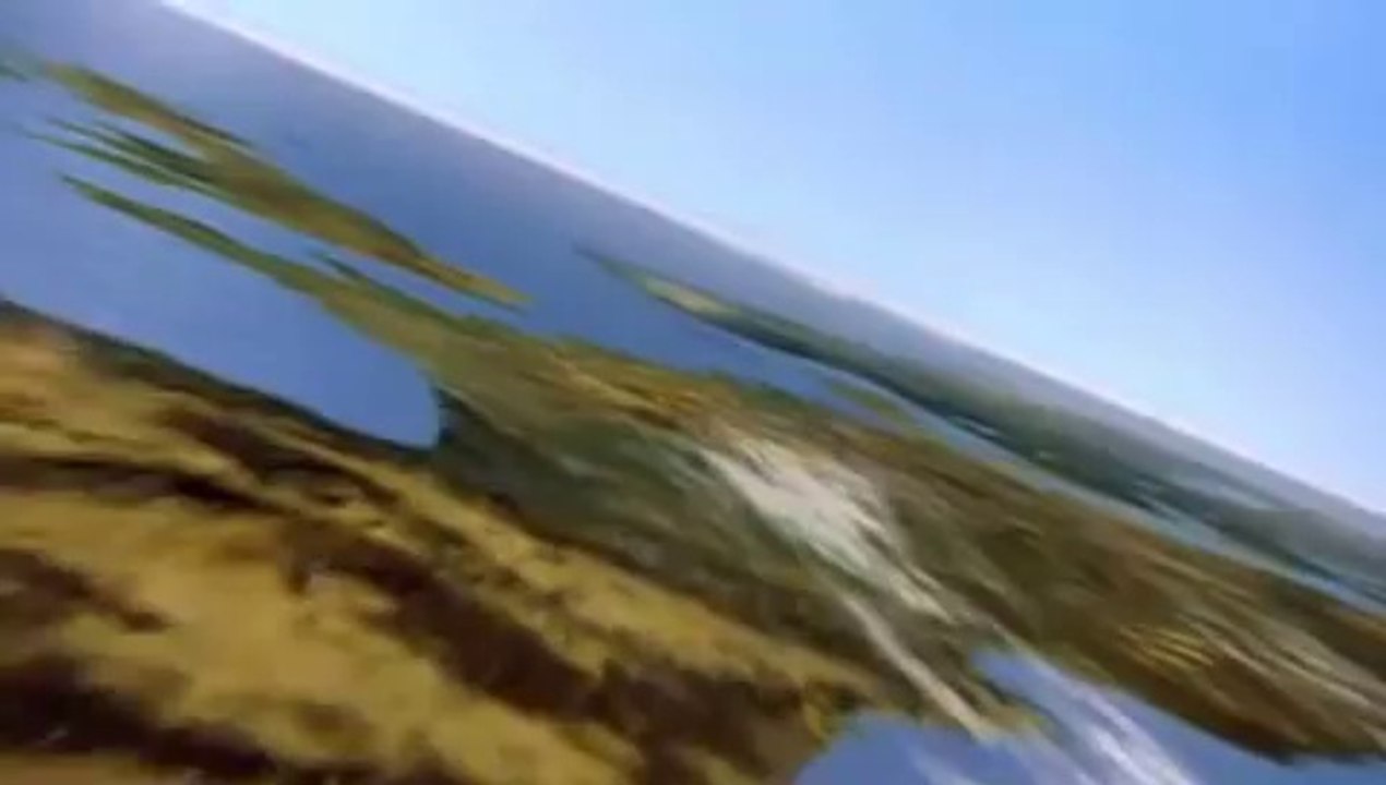 Winged Migration trailer