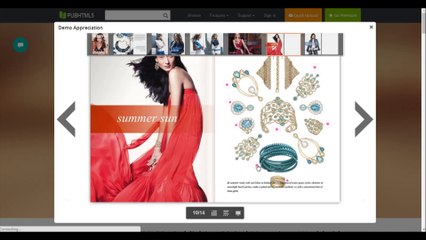 Top 2 Alternatives to Issuu: Page Flip Publishing Tool