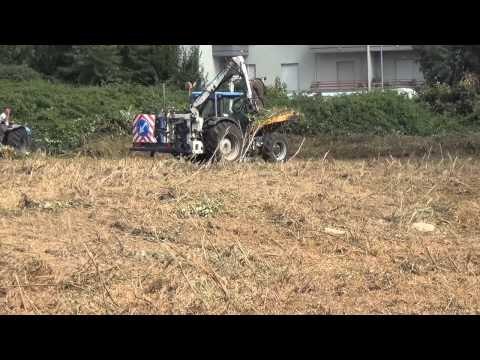 Aversa (CE) - Bonificato lo standard comunale in Via Michelangelo (20.08.14)