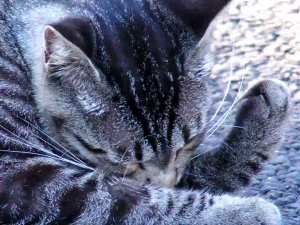 増元宏明(３４)初恋の相手はジブリ「風の谷のナウシカ」のナウシカ！？