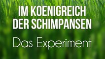 Im Königreich der Schimpansen - Das Experiment (2008) [Dokumentation] | Film (deutsch)