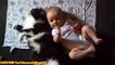 FUNNY VIDEOS_ Funny Cats - Funny Baby - Funny Cat Videos - Funny Animals - Funny Babies Videos
