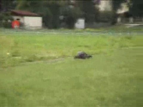 RC - Monster truck HPI Savage brushless