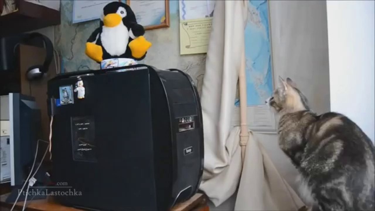 Pranks - Gags - Win - Fail.67