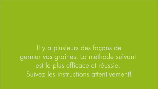 germer-graine-de-cannabis