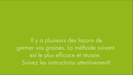 germer-graine-de-cannabis