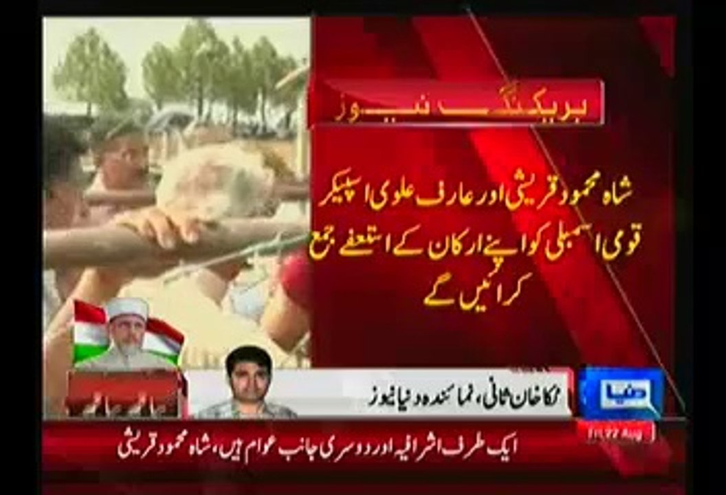 Arif Alvi and Shah Mehmood Qureshi Are Going To Parliament To Submit PTI MNA's Resignations