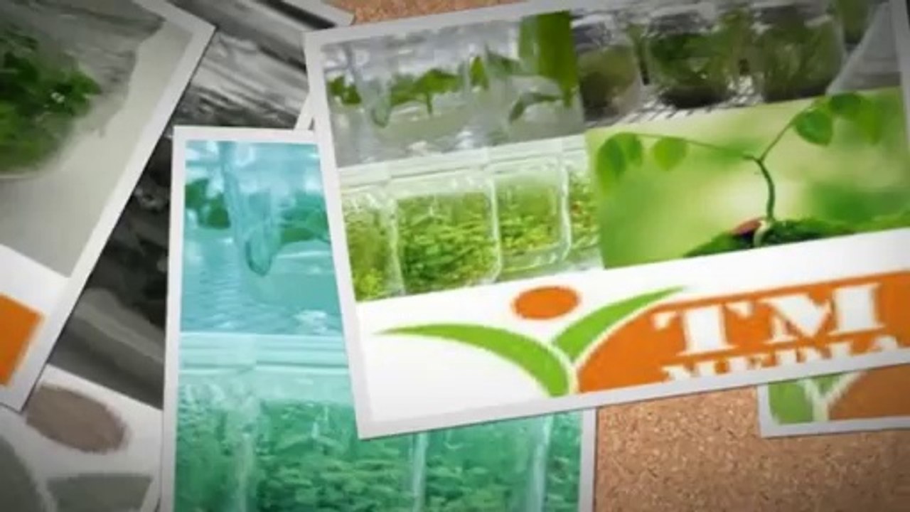 Preparation Plant Tissue Culture Media – Titan Media