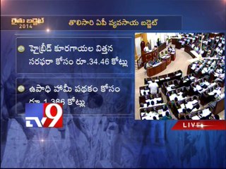 Andhra Pradesh Agriculture budget - Highlights