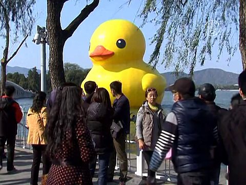Гигантский жёлтый утёнок покоряет Лос-Анджелес