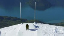 Quand un homme-ballon de rugby géant passe une pénalité sur des skis en Nouvelle-Zélande