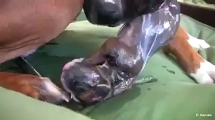 If you've never seen it before