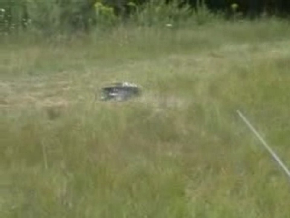 Monster Truck RC - Hammer