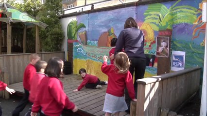 The Great Sparrow Decline 🐦: Causes and Solutions to Save Our Urban Birds