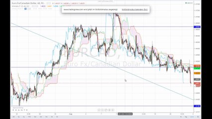 Janet Yellen stärkt den US-Dollar