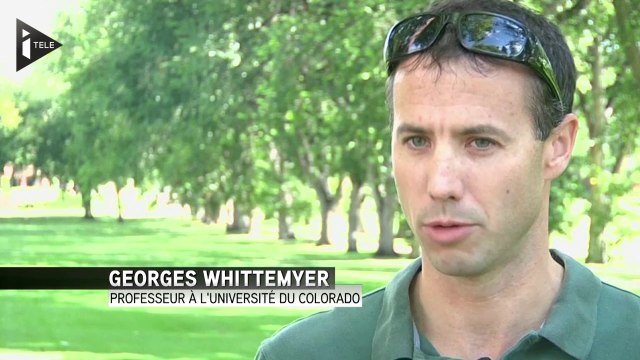 Les éléphants toujours plus menacés par l'ivoire