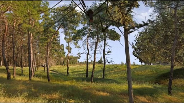 Mosquitos transgénicos