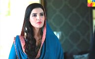 Mausam Episode 14 Full in High Quality on Hum Tv