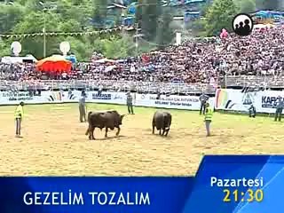 Gezelim Tozalım 25 Ağustos