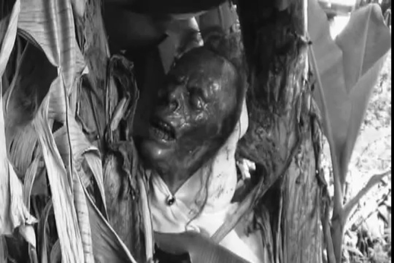 A paixão dos mortos / The dead's passion