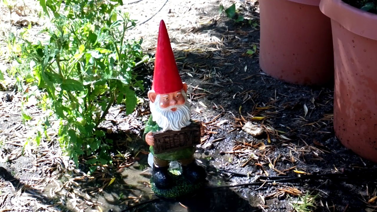 gnomeicebucket