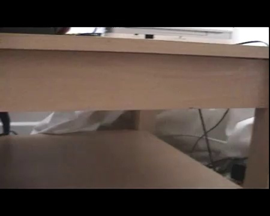 Paws Trailer