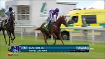 Juddmonte International Stakes 2014 G1 - Australia