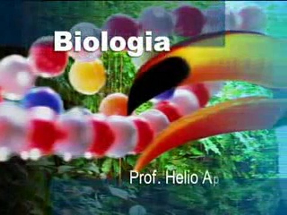 BIOLOGIA SISTEMA RESPIRATÓRIO HUMANO ANATOMIA E FISIOLOGIA