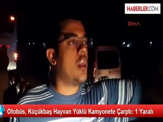 Otobüs, Küçükbaş Hayvan Yüklü Kamyonete Çarptı: 1 Yaralı