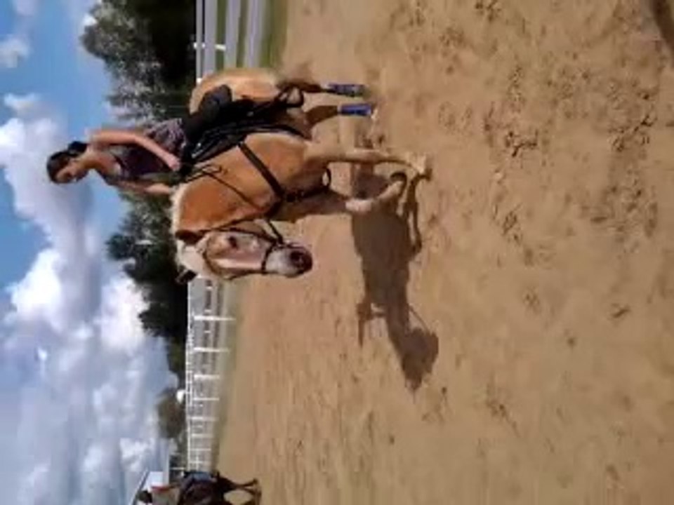 Anna-Bel jument haflinger