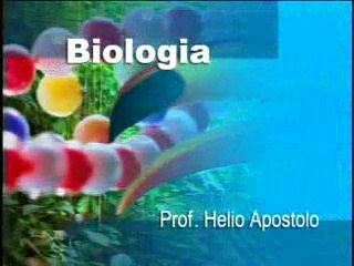 BIOLOGIA SISTEMA URINÁRIO
