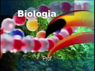 BIOLOGIA SISTEMA NERVOSO CENTRAL E PERIFÉRICO