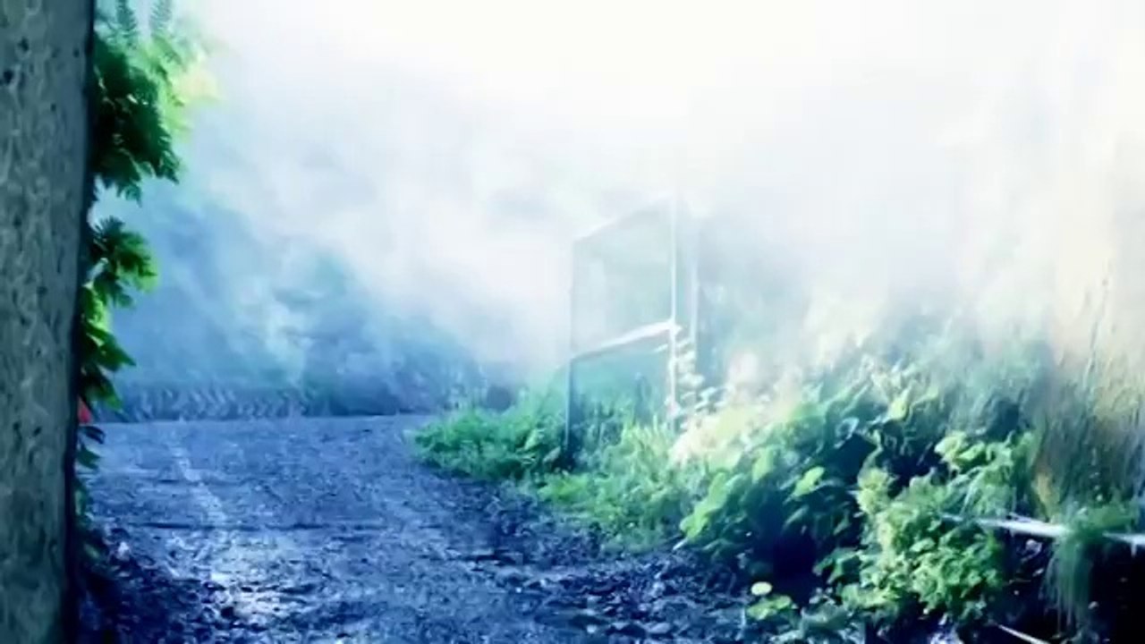 Arlequin - Hakaana
